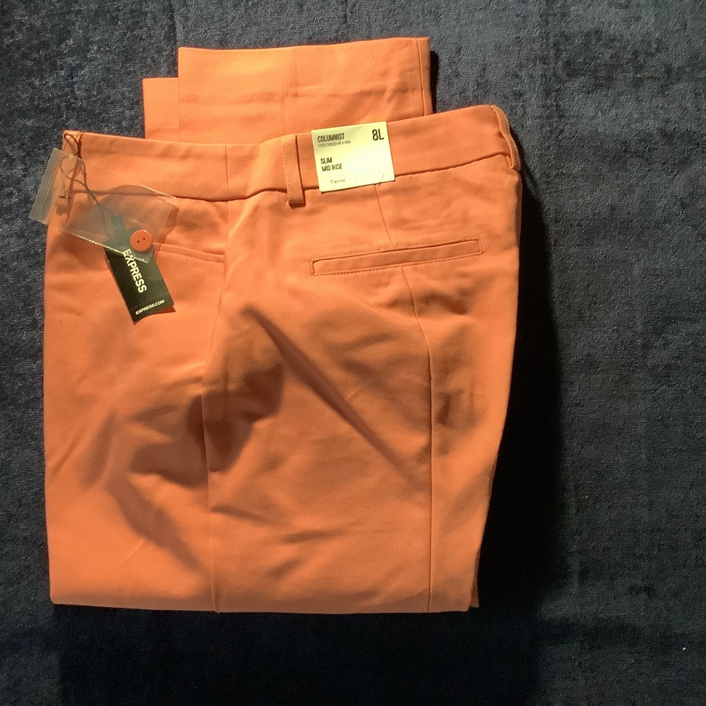 Express dress pants